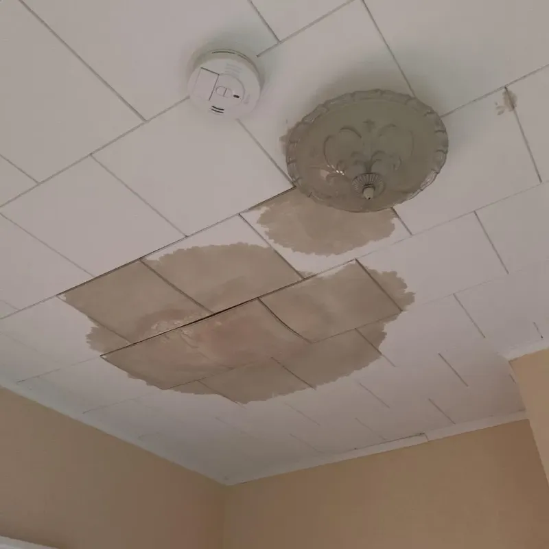 Ceiling Water Damage Repair in Carrollton, TX