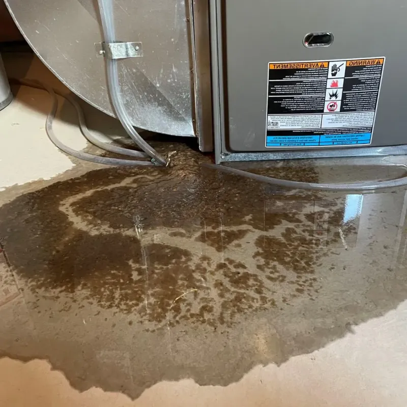 Pipe Burst and Leak Restoration in Carrollton, TX